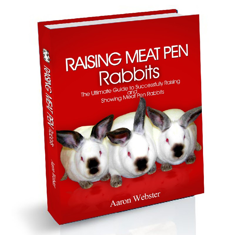 Meat Pen Rabbits | USA Rabbit Breeders
