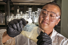 Hydrocarbon polymer electrolyte membrane