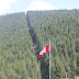 Us Canada Border Forest - In Photos The Border Between The U S And Canada Travel Leisure - Maybe you would like to learn more about one of these?