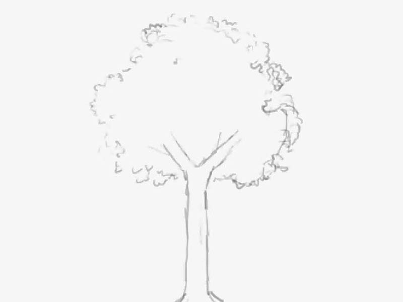 木の描き方 デジタルイラスト背景講座 Blank Coin