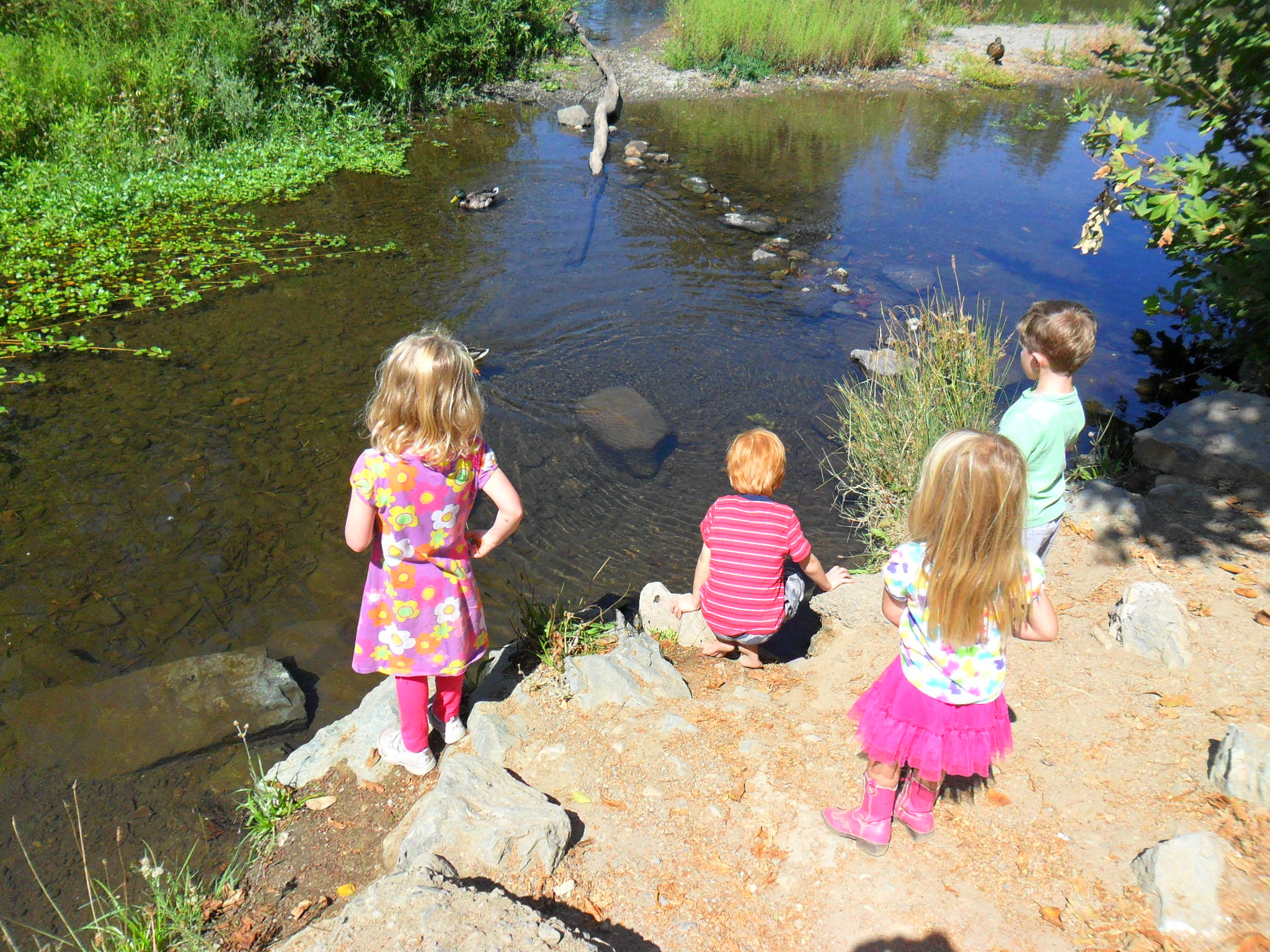 http://chellesfootprints.files.wordpress.com/2012/09/lv-observing-the-ducks.jpg