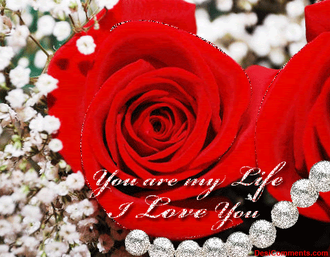 You Are My Life I Love You Pictures Photos And Images For Facebook Tumblr Pinterest And Twitter