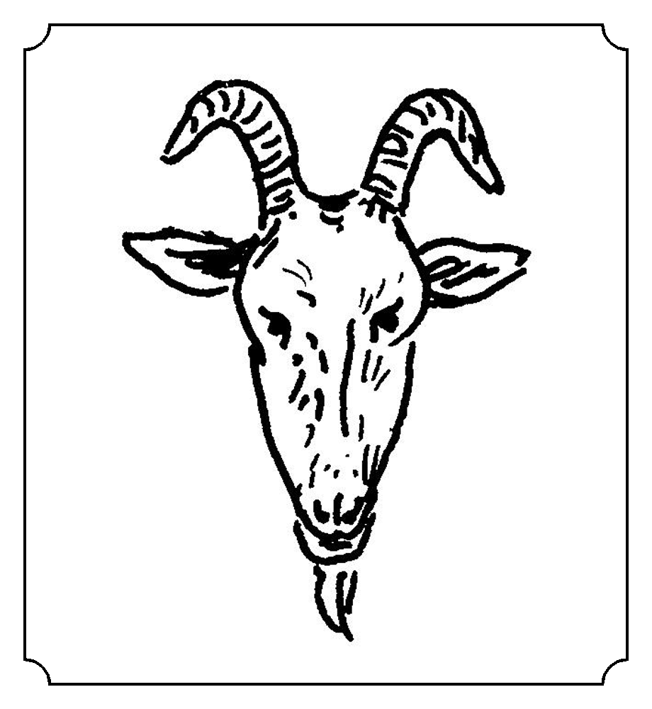 羊 动物 字乎者