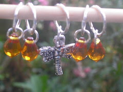 Dragonfly and Amber