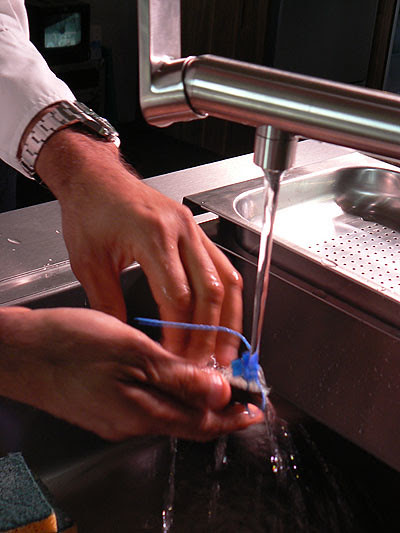 ormeaux sous l'eau.jpg