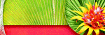  photo BLT_BWC_Blinkie1.gif