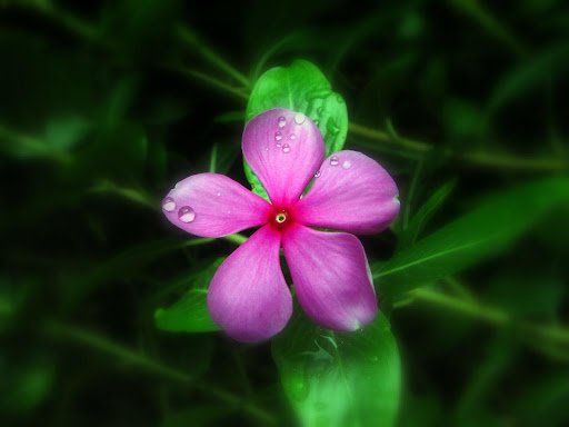 My photo