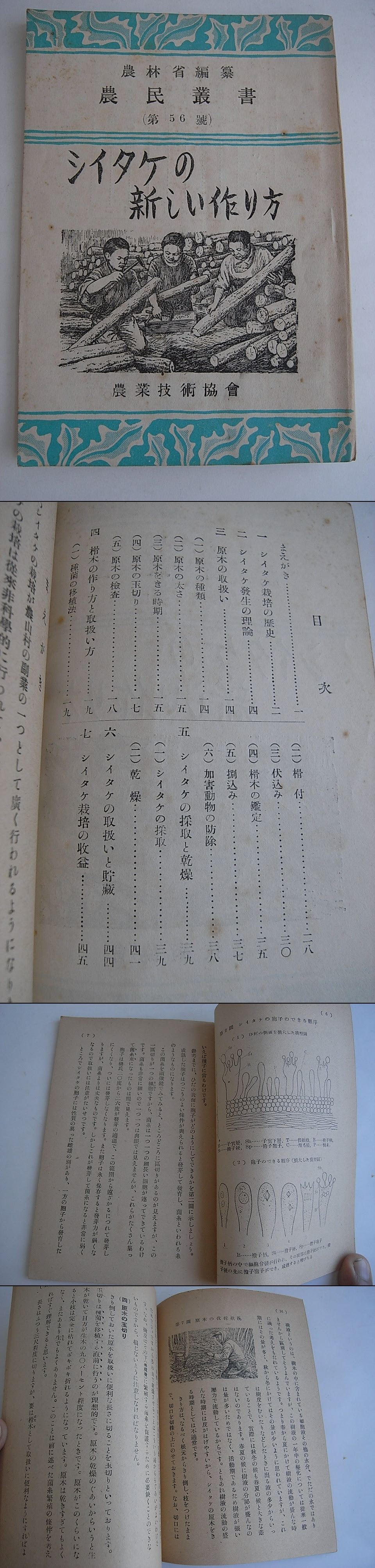 シイタケの新しい作り方 農民叢書 第56號 農林省農業改良局 編 書肆月影 古本 中古本 古書籍の通販は 日本の古本屋 日本の古本屋
