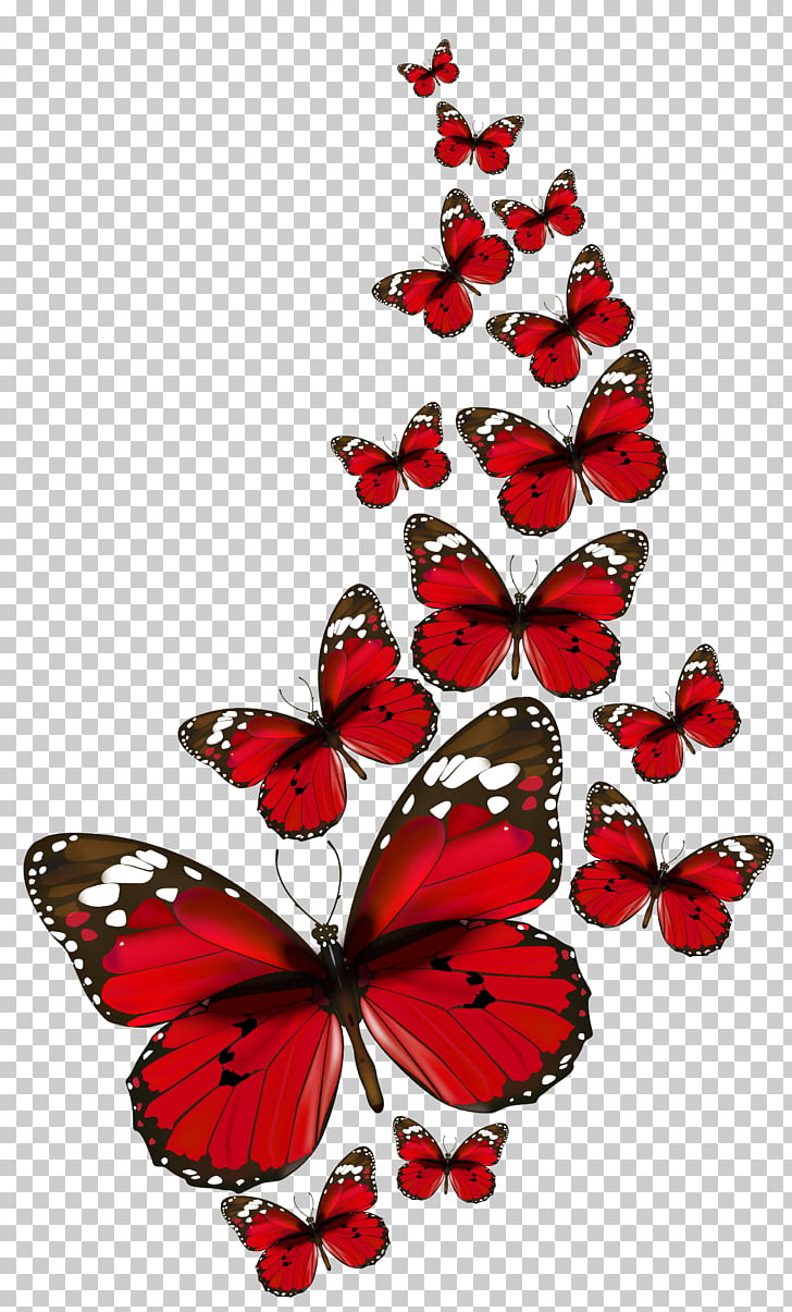Download Free Red Butterfly Cliparts Download Free Red Butterfly Cliparts Png Images Free Cliparts On Clipart Library