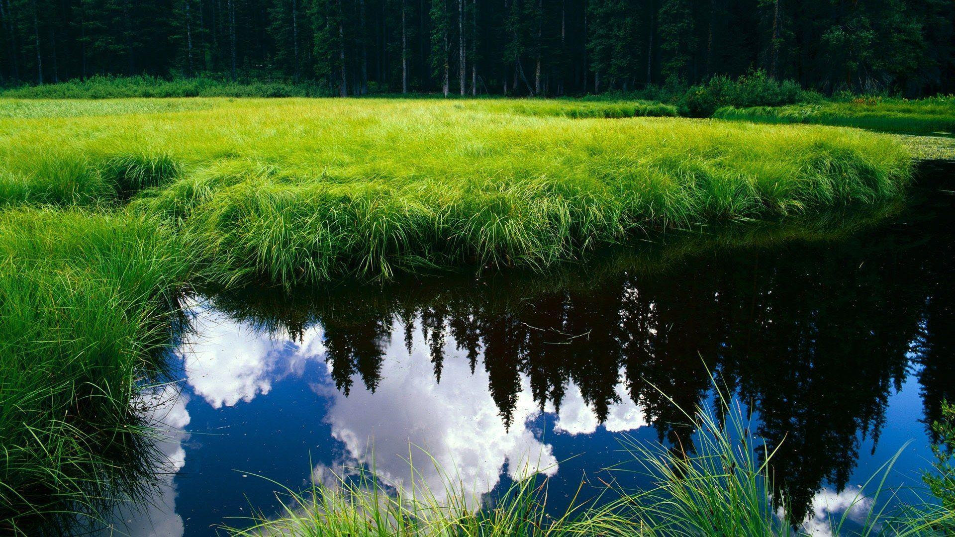Nature HD Wallpapers 1080p - Wallpaper Cave