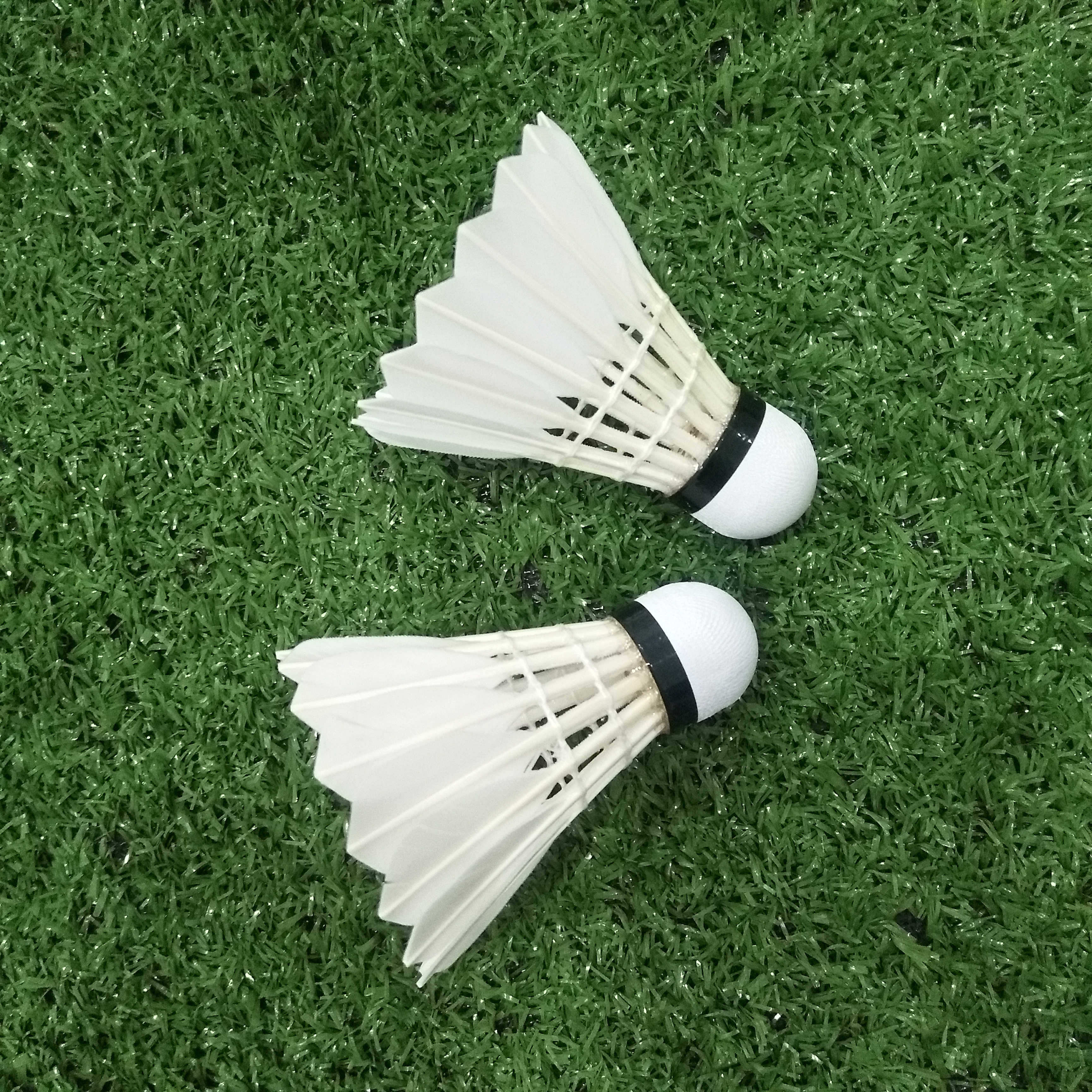 Hot Sale Rsl Classic Shuttlecock Class 1 Duck Feathers Aeroplane Eg1130  Badminton Shuttlecocks - Buy Badminton Shuttlecock,Cheap Badminton  Shuttlecock,Aeroplane Eg1130 Badminton Shuttlecocks Product ...
