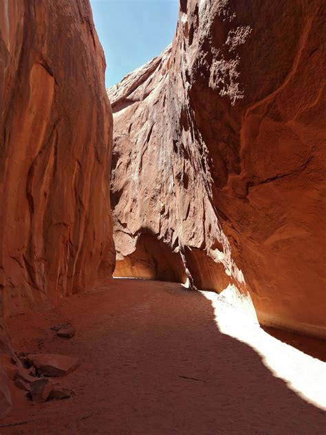 Learn about the types, costs, and requirements of fishing and shellfishing licenses offered by wdfw Dry Fork of Coyote Gulch, Escalante River, Utah