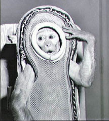 Sam antes de su viaje, en 1959. | E.M.