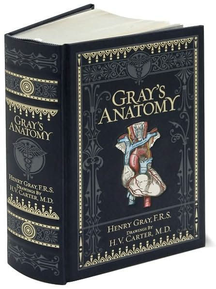 Gray S Anatomy Barnes Amp Noble Collectible Editions By