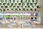 Sustainable Cafe Inspirasi Terbaru Untuk Anda