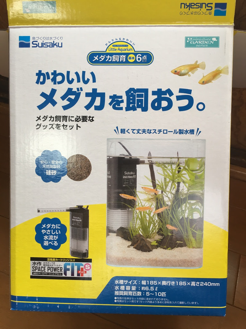 ほーすけ のお気に入り メダカwithマリモ
