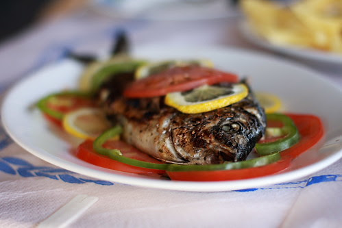 he never had a chance