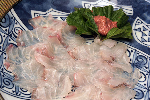 ホウボウ 竹麦魚 魴鮄 釣魚料理大全 海水編 房総爆釣通信