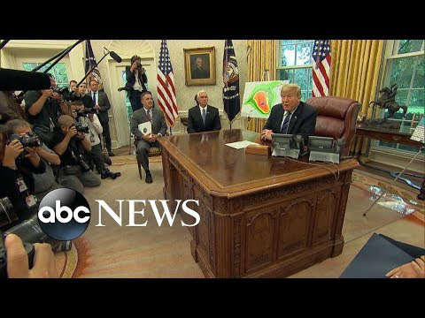 Video-Storm fury on Trump's Twitter feed