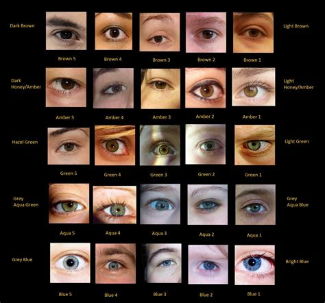Most people of african descent have brown eyes, according to a 2021 literature review. eye colour chart with photos of real eyes advanced novel writing