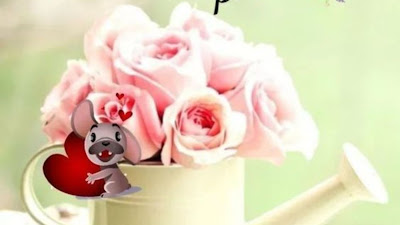 Buona Domenica Buongiorno Immagini Nuove 2019