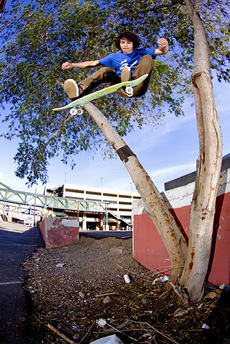 Andrew Crawford