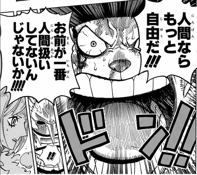 人間ならもっと自由だ お前が一番人間扱いしてないんじゃないか ワンピース