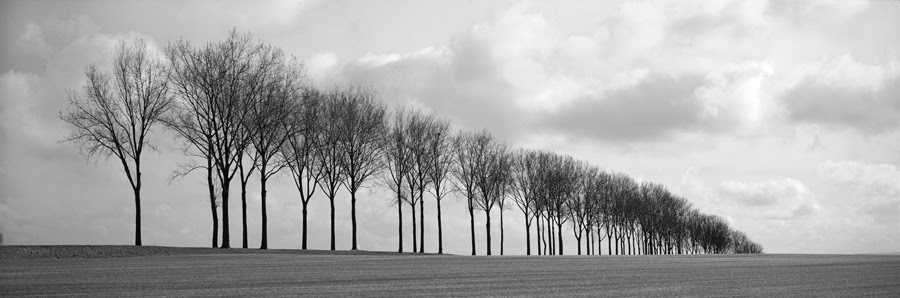 South of Albert, The Somme, France