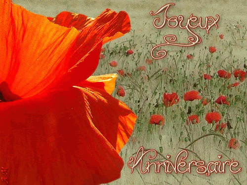 Q Tbn And9gcsffna6uy16afkxezwjkofjvukg2jlnfopsra Usqp Cau