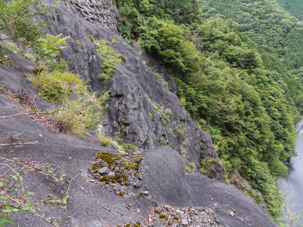 静岡県道60号 大網トンネル廃道 その1 Hetima Diary