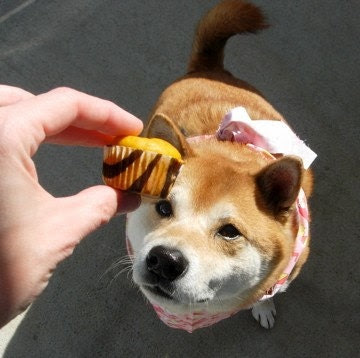 CALL OF THE WILD mini muffins for 