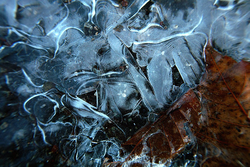 ice on the pavement