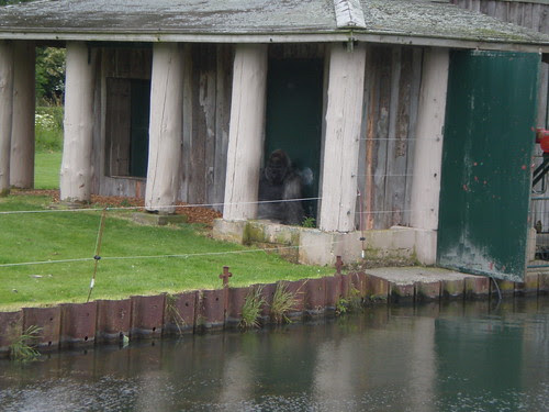 longleat 010