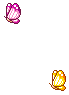 Gif de borboleta