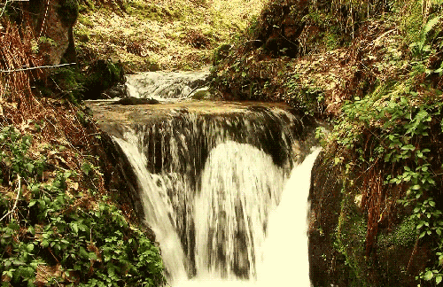 cachoeira