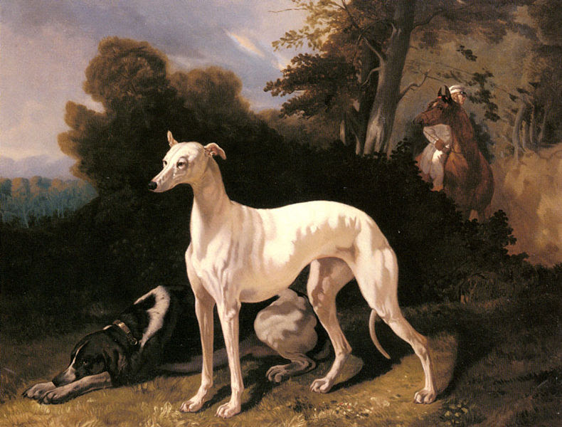 File:Alfred Dedreux - A Greyhound In An Extensive Landscape.jpg