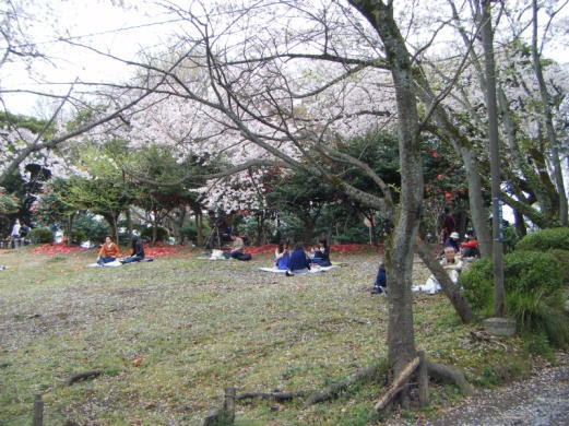 源氏山公園