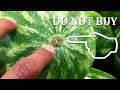 Five Ways to Know a Good Watermelon.....!