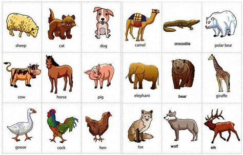 koleksi terbaru  hewan punah beserta gambar