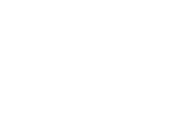 シンプル レース素材専門サイト Da Lace ダ レース