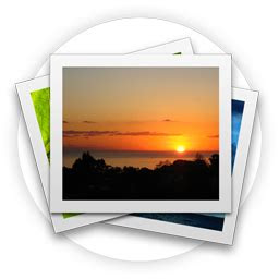 icon palm iconset thiago silva