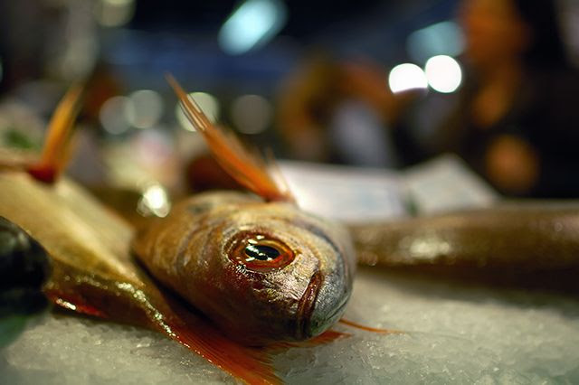 Fish Monger Stand: Sea Breams at Abaceria Central Market, Barcelona, Spain  [enlarge]