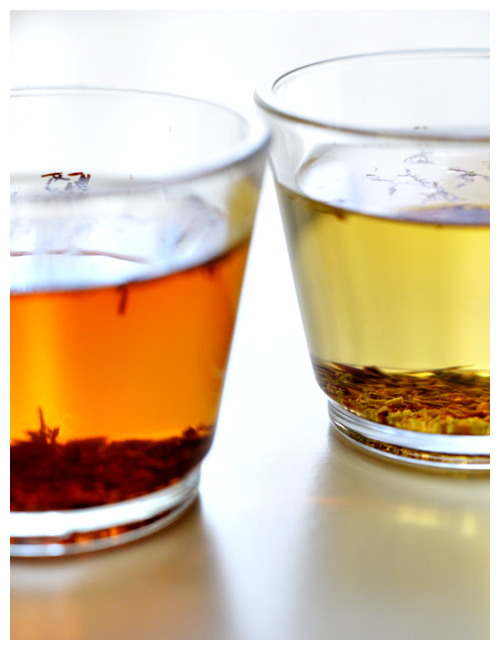 red and green rooibos© by Haalo
