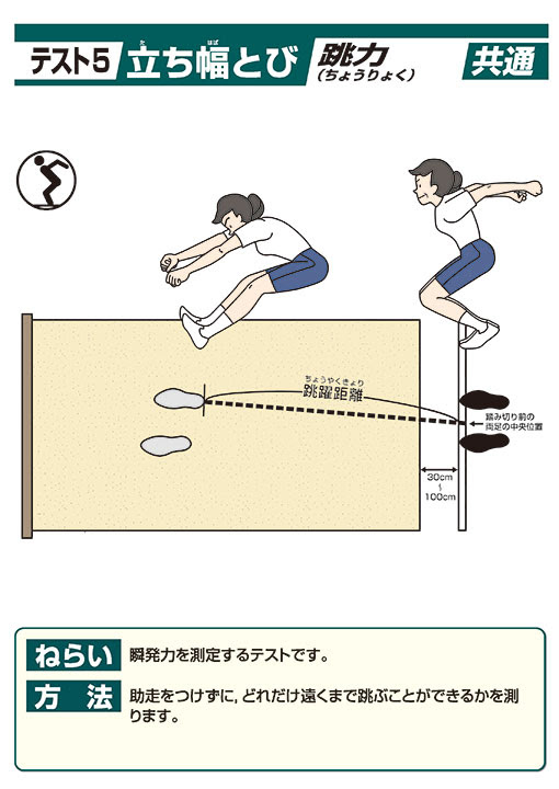 実施種目のご紹介 体力測定集計 分析システム 成人用 新体力テスト