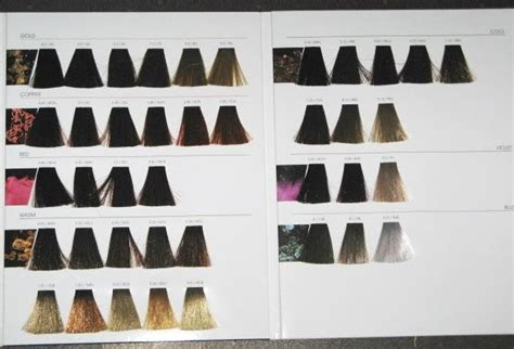 Each complexion type has distinct attributes and corresponding hair co. loreal inoa hair color swatch book new full hair color chart hair