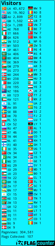 Flag Counter