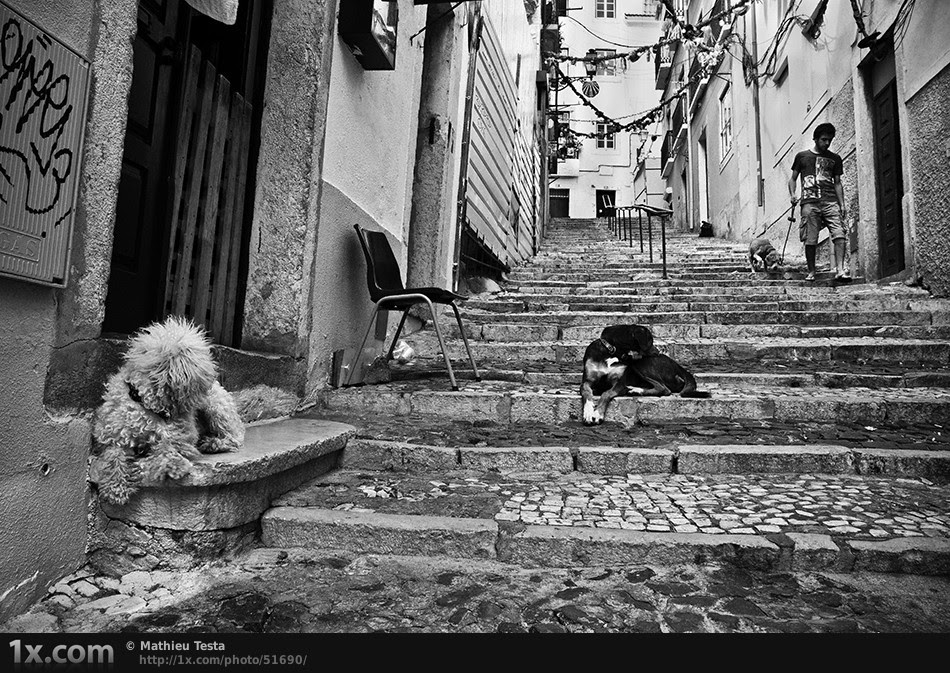 street photography favs, rg443