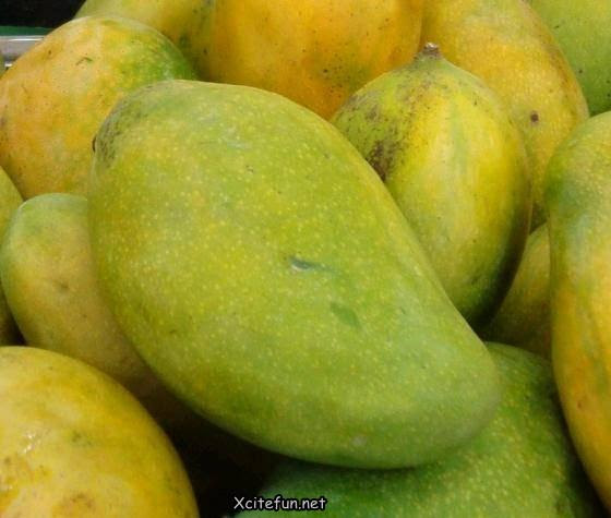 Types Of Mango King of Fruit Types Of Mango King of Fruit