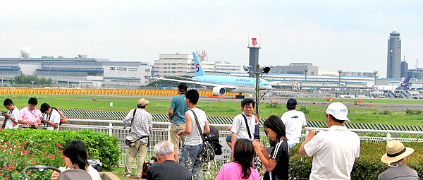 成田市さくらの山 空の駅さくら館 Feel成田 成田市観光協会公式サイト
