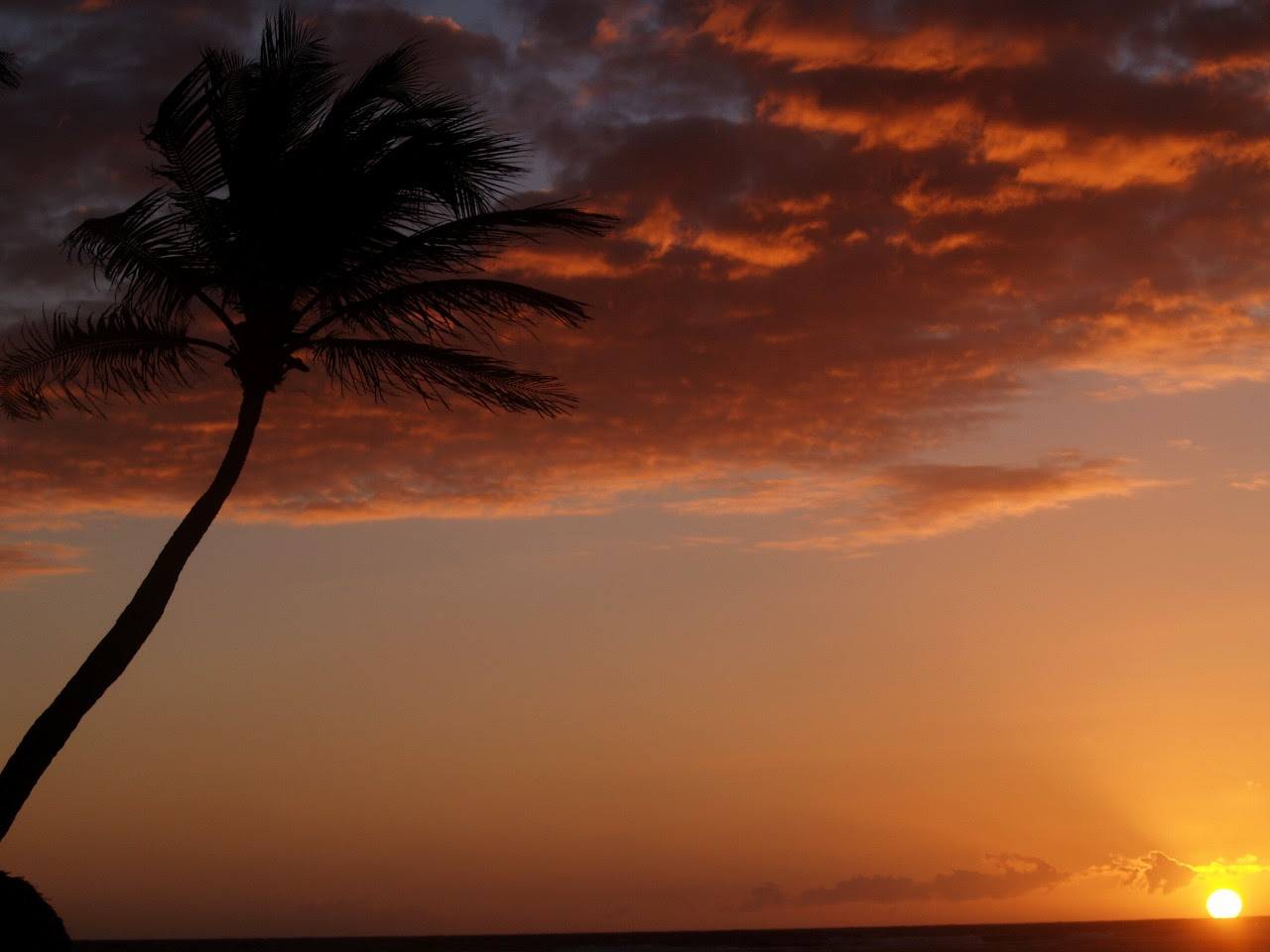 Photo de Paysage : Ile merveilleuse